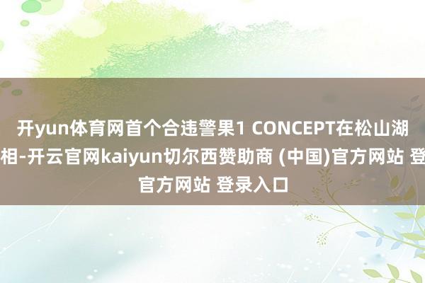 开yun体育网首个合违警果1 CONCEPT在松山湖惊艳亮相-开云官网kaiyun切尔西赞助商 (中国)官方网站 登录入口