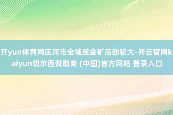 开yun体育网庄河市全域成金矿后劲较大-开云官网kaiyun切尔西赞助商 (中国)官方网站 登录入口