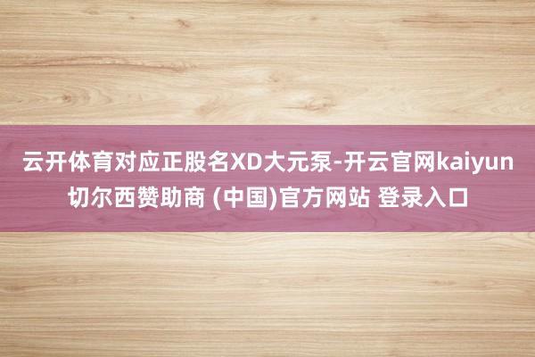 云开体育对应正股名XD大元泵-开云官网kaiyun切尔西赞助商 (中国)官方网站 登录入口