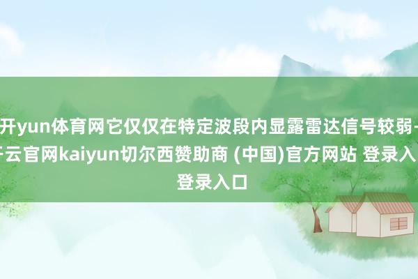 开yun体育网它仅仅在特定波段内显露雷达信号较弱-开云官网kaiyun切尔西赞助商 (中国)官方网站 登录入口