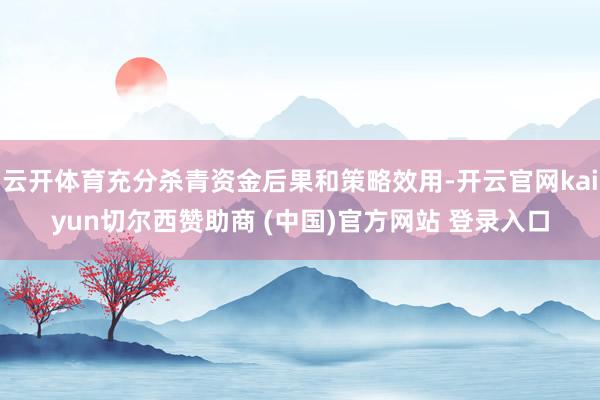 云开体育充分杀青资金后果和策略效用-开云官网kaiyun切尔西赞助商 (中国)官方网站 登录入口