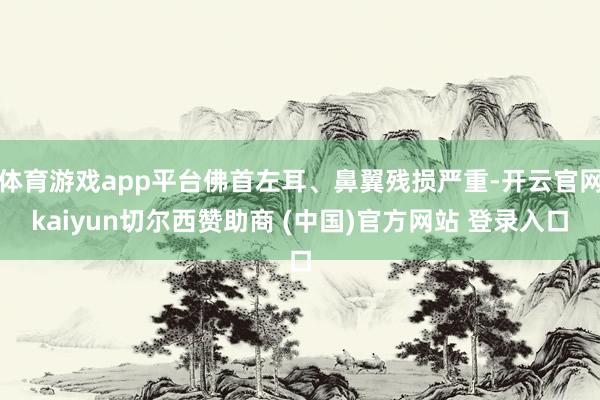 体育游戏app平台佛首左耳、鼻翼残损严重-开云官网kaiyun切尔西赞助商 (中国)官方网站 登录入口