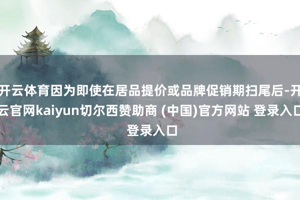 开云体育因为即使在居品提价或品牌促销期扫尾后-开云官网kaiyun切尔西赞助商 (中国)官方网站 登录入口